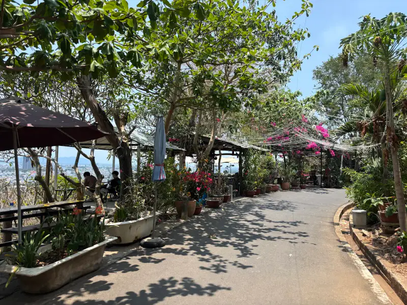 Cafe Hải Đăng Xưa - ảnh 3